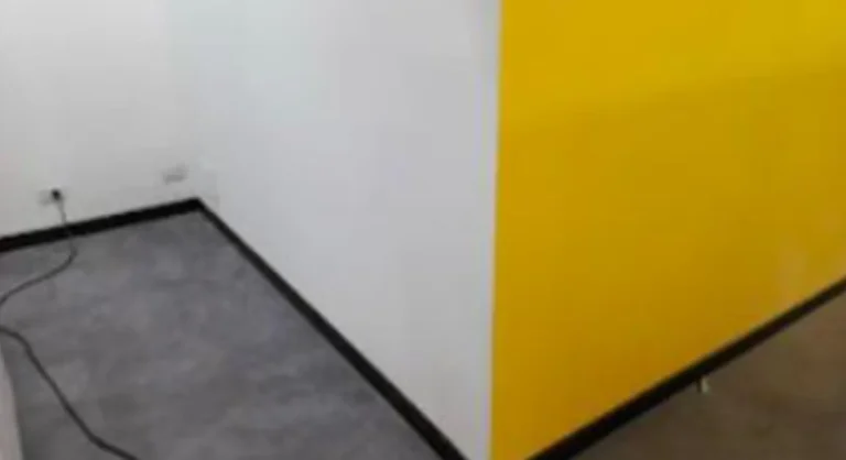11 (7)